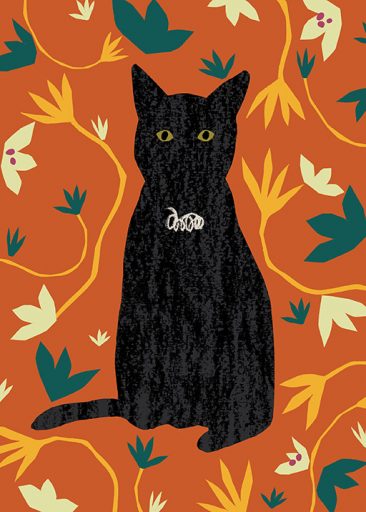 Black Cat luonut Lily Windsor Walker