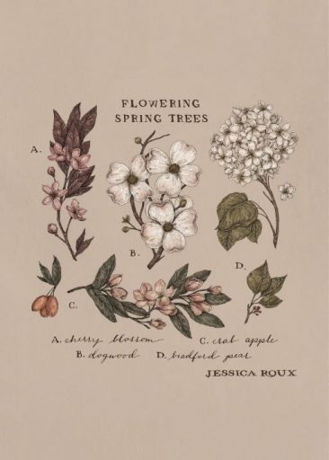 Flowering Spring Trees luonut Jessica Roux